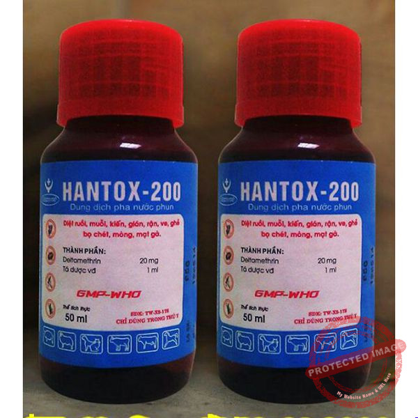 Chữa mạt gà bằng thuốc Hantox