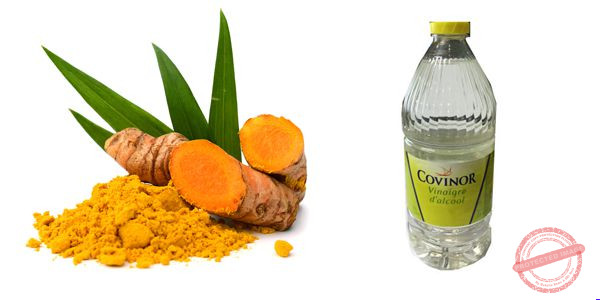 Nguyên liệu ngâm rượu nghệ cho gà bao gồm nghệ và rượu trắng là những thứ cơ bản